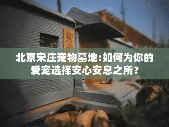 北京宋庄宠物墓地:如何为你的爱宠选择安心安息之所？