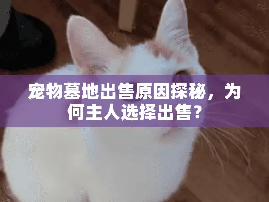宠物墓地出售原因探秘，为何主人选择出售？