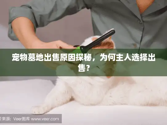 宠物墓地出售原因探秘，为何主人选择出售？