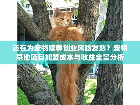 还在为宠物殡葬创业风险发愁？宠物墓地项目加盟成本与收益全景分析