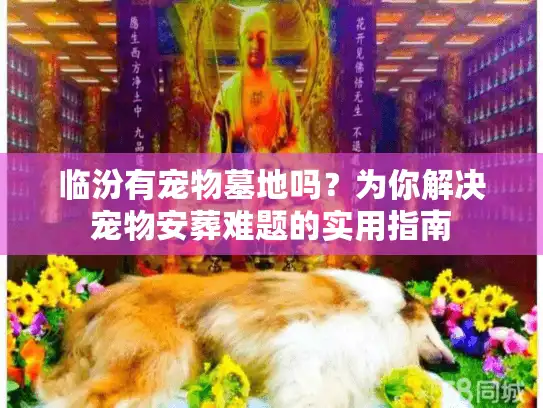 临汾有宠物墓地吗？为你解决宠物安葬难题的实用指南