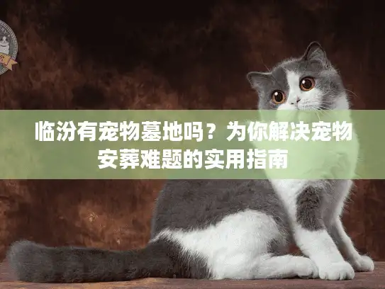 临汾有宠物墓地吗？为你解决宠物安葬难题的实用指南