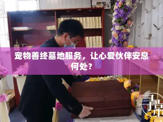 宠物善终墓地服务，让心爱伙伴安息何处？