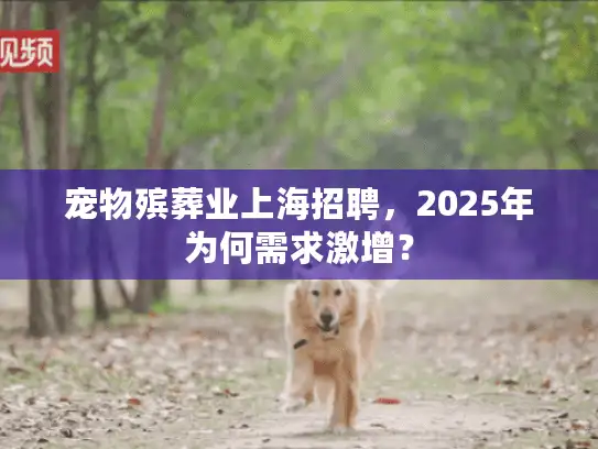 宠物殡葬业上海招聘，2025年为何需求激增？