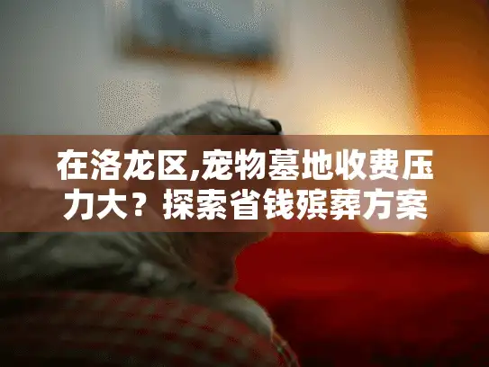 在洛龙区,宠物墓地收费压力大？探索省钱殡葬方案！