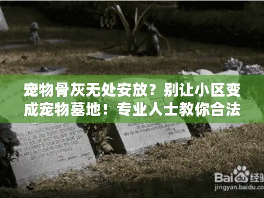 宠物骨灰无处安放？别让小区变成宠物墓地！专业人士教你合法善后