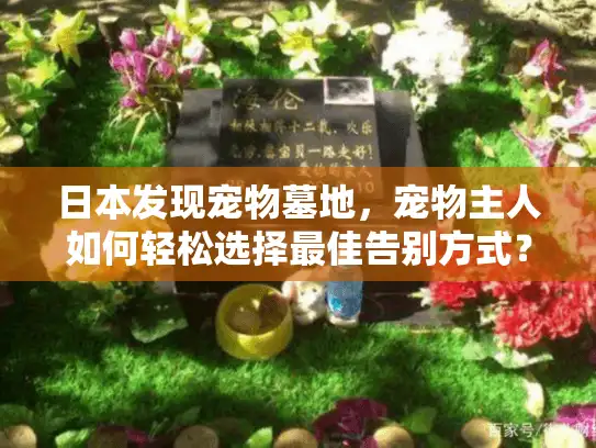 日本发现宠物墓地，宠物主人如何轻松选择最佳告别方式？