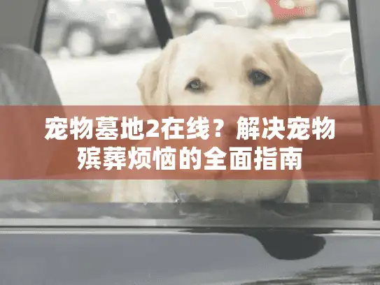 宠物墓地2在线？解决宠物殡葬烦恼的全面指南
