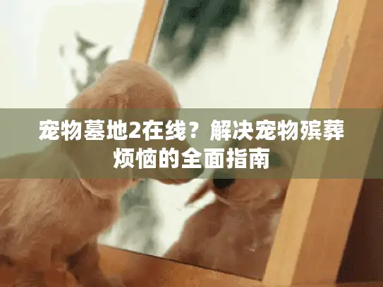 宠物墓地2在线？解决宠物殡葬烦恼的全面指南