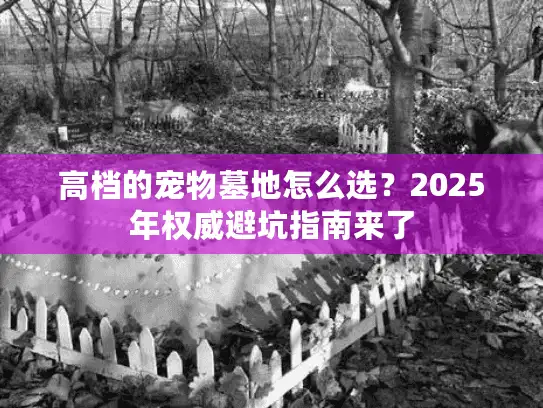 高档的宠物墓地怎么选？2025年权威避坑指南来了