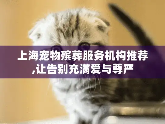 上海宠物殡葬服务机构推荐,让告别充满爱与尊严