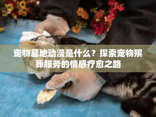 宠物墓地动漫是什么？探索宠物殡葬服务的情感疗愈之路