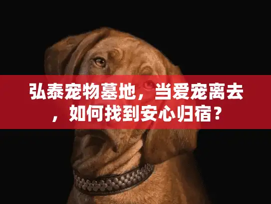 弘泰宠物墓地，当爱宠离去，如何找到安心归宿？