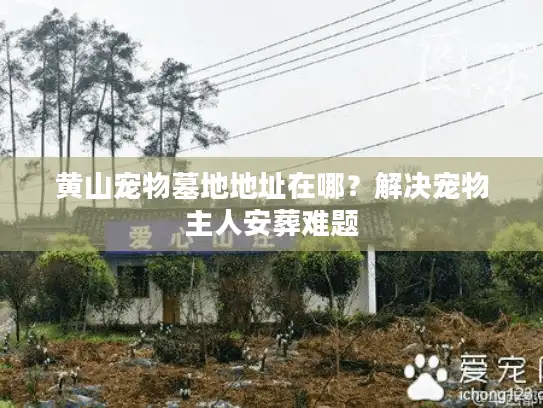黄山宠物墓地地址在哪？解决宠物主人安葬难题