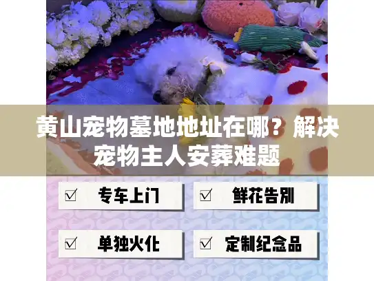 黄山宠物墓地地址在哪？解决宠物主人安葬难题