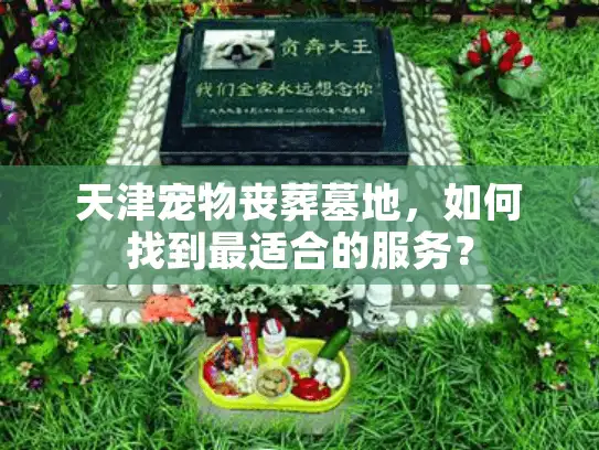 天津宠物丧葬墓地，如何找到最适合的服务？