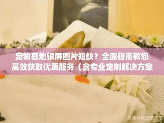 宠物墓地银屏图片短缺？全面指南教您高效获取优质服务（含专业定制解决方案）