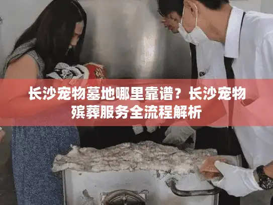 长沙宠物墓地哪里靠谱？长沙宠物殡葬服务全流程解析