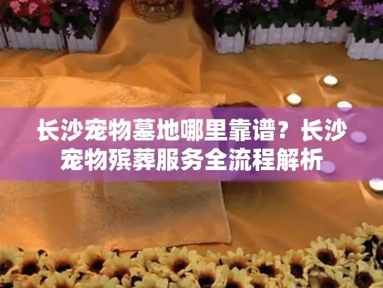 长沙宠物墓地哪里靠谱？长沙宠物殡葬服务全流程解析