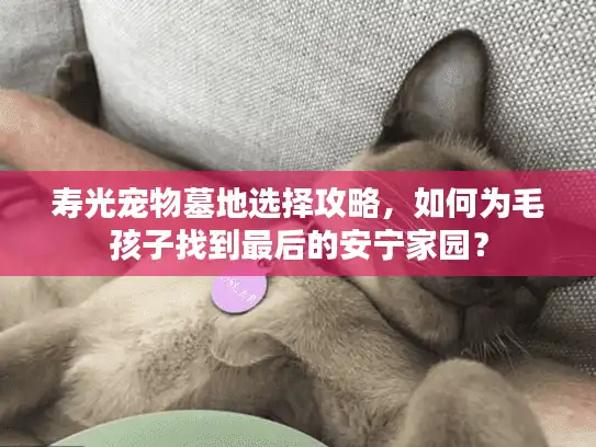 寿光宠物墓地选择攻略，如何为毛孩子找到最后的安宁家园？