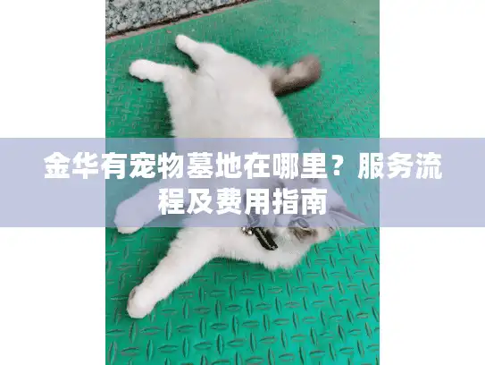 金华有宠物墓地在哪里？服务流程及费用指南