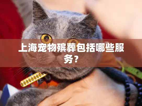 上海宠物殡葬包括哪些服务？