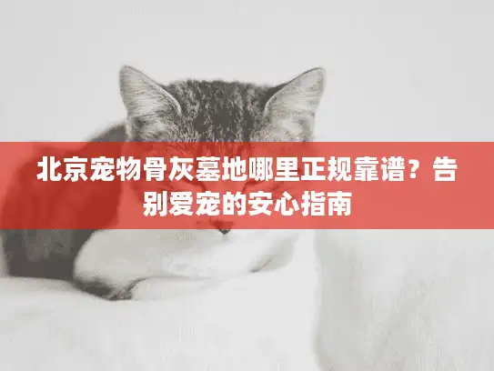 北京宠物骨灰墓地哪里正规靠谱？告别爱宠的安心指南