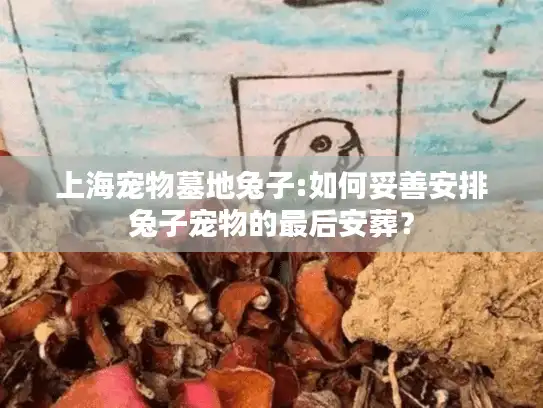 上海宠物墓地兔子:如何妥善安排兔子宠物的最后安葬？