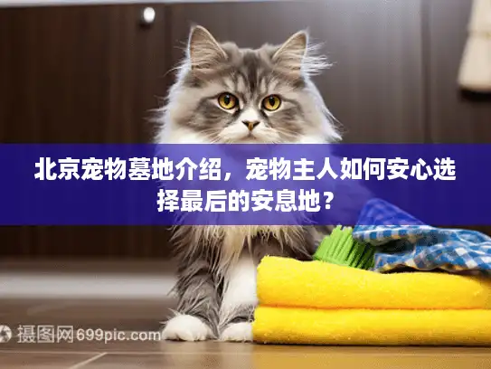 北京宠物墓地介绍，宠物主人如何安心选择最后的安息地？