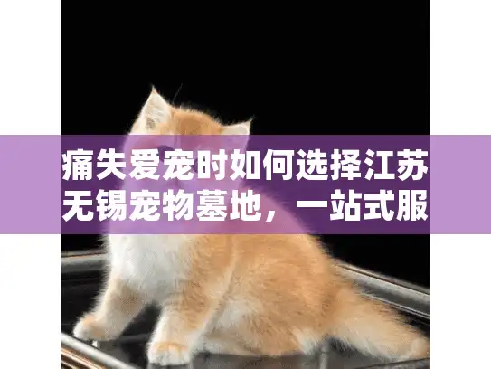 痛失爱宠时如何选择江苏无锡宠物墓地，一站式服务指南