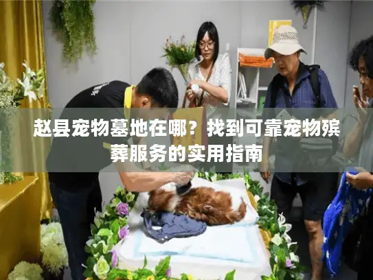 赵县宠物墓地在哪？找到可靠宠物殡葬服务的实用指南