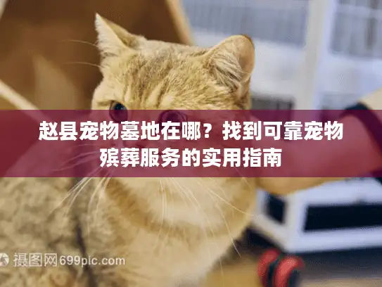 赵县宠物墓地在哪？找到可靠宠物殡葬服务的实用指南
