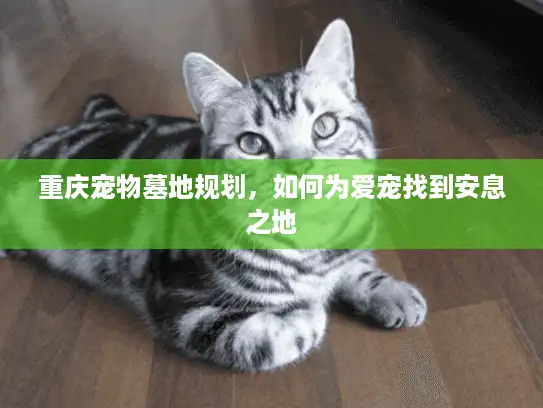 重庆宠物墓地规划，如何为爱宠找到安息之地