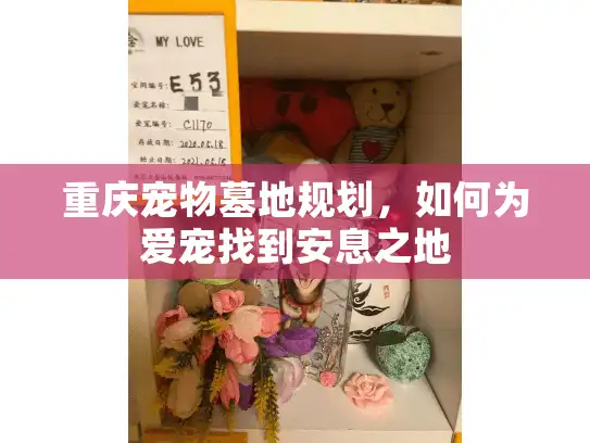 重庆宠物墓地规划，如何为爱宠找到安息之地