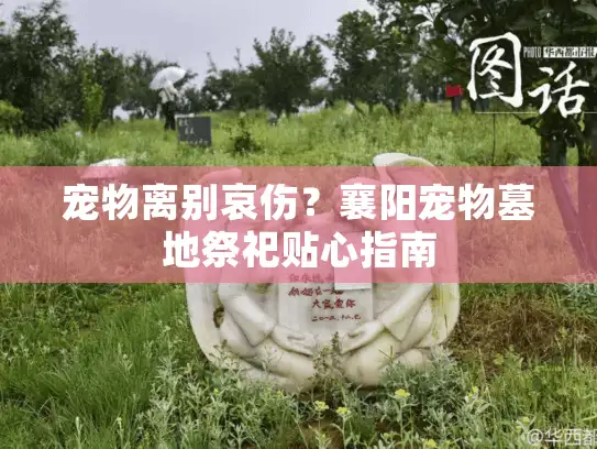 宠物离别哀伤？襄阳宠物墓地祭祀贴心指南