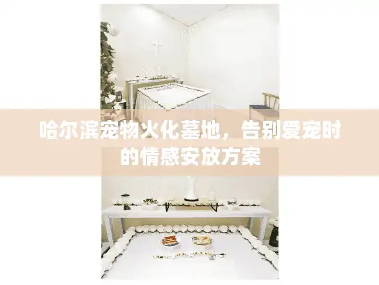 哈尔滨宠物火化墓地，告别爱宠时的情感安放方案