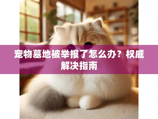 宠物墓地被举报了怎么办？权威解决指南