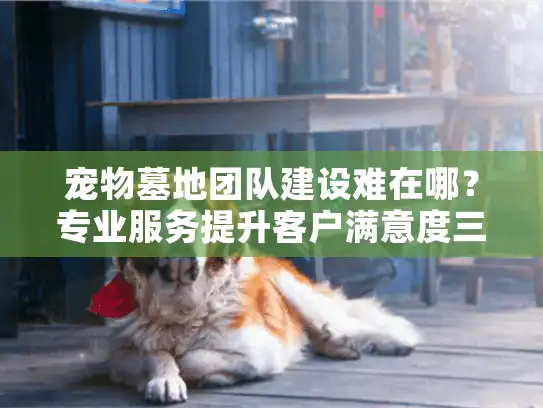 宠物墓地团队建设难在哪？专业服务提升客户满意度三步法