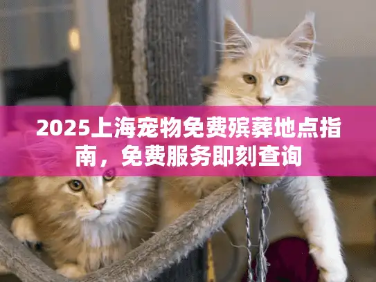 2025上海宠物免费殡葬地点指南，免费服务即刻查询
