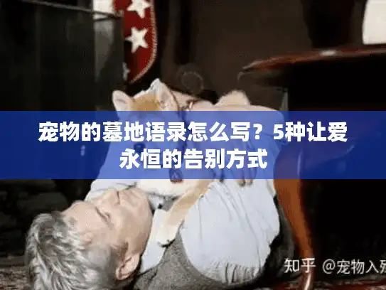 宠物的墓地语录怎么写？5种让爱永恒的告别方式