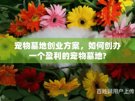 宠物墓地创业方案，如何创办一个盈利的宠物墓地?