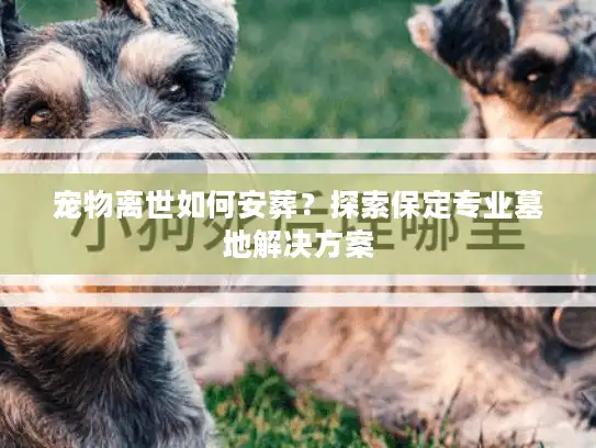 宠物离世如何安葬？探索保定专业墓地解决方案