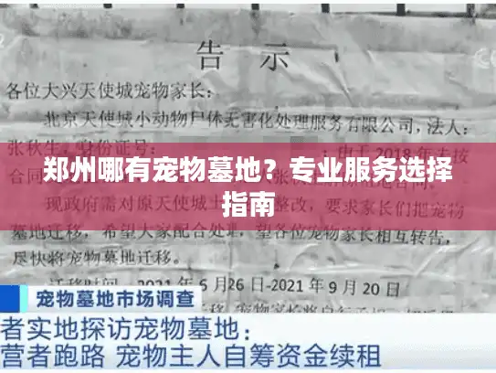 郑州哪有宠物墓地？专业服务选择指南