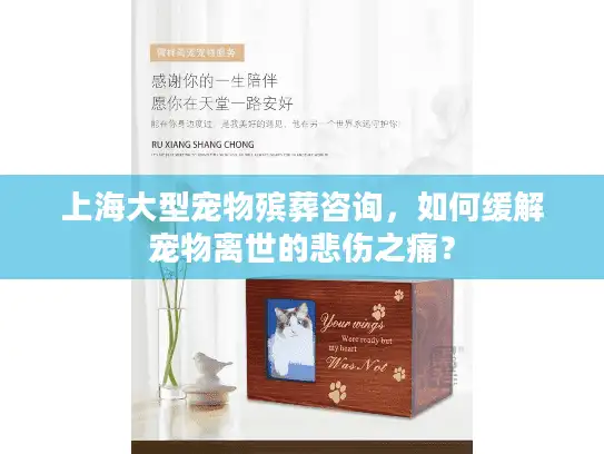 上海大型宠物殡葬咨询，如何缓解宠物离世的悲伤之痛？