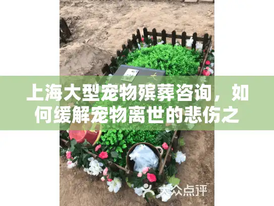 上海大型宠物殡葬咨询，如何缓解宠物离世的悲伤之痛？