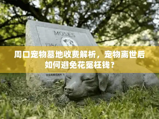 周口宠物墓地收费解析，宠物离世后如何避免花冤枉钱？
