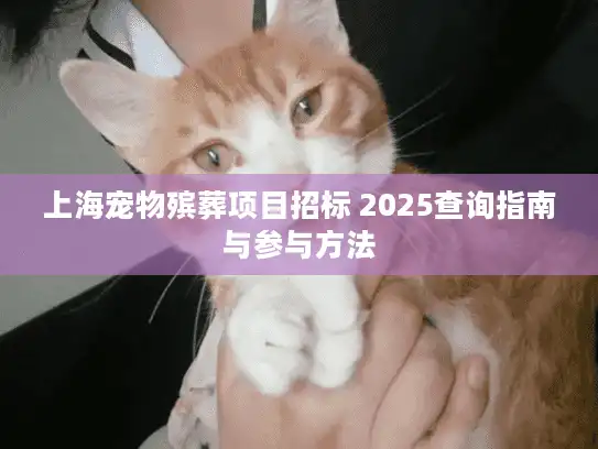 上海宠物殡葬项目招标 2025查询指南与参与方法