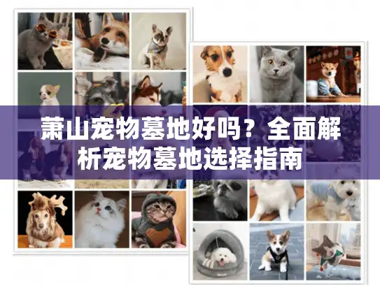 萧山宠物墓地好吗？全面解析宠物墓地选择指南