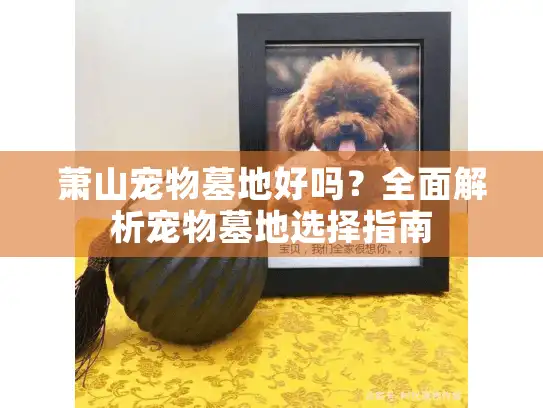 萧山宠物墓地好吗？全面解析宠物墓地选择指南