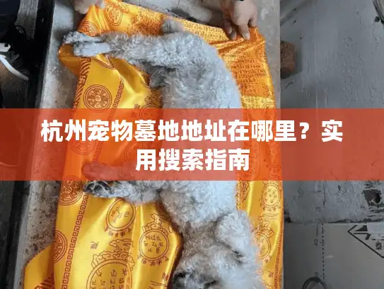 杭州宠物墓地地址在哪里？实用搜索指南